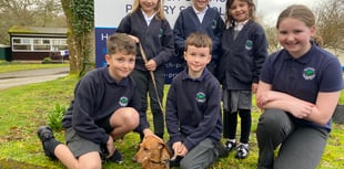 School wellbeing dog Rufus makes friends 