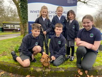 School wellbeing dog Rufus makes friends 