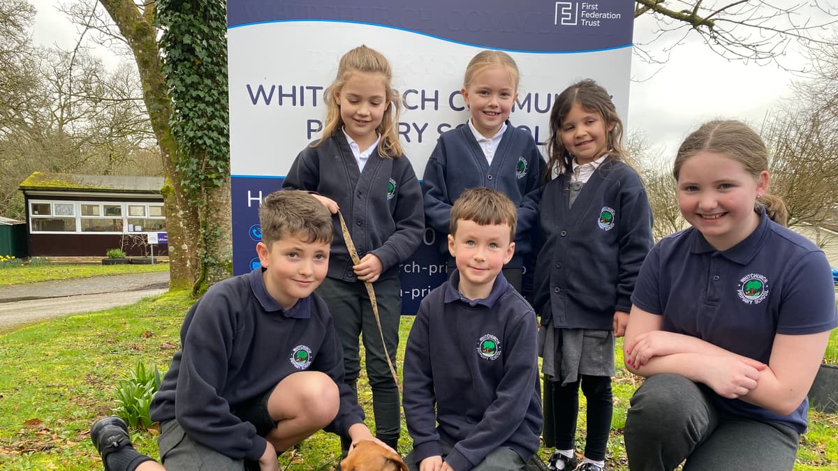 Whitchurch School wellbeing dog Rufus makes friends