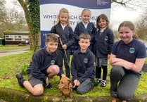 Whitchurch School wellbeing dog Rufus makes friends