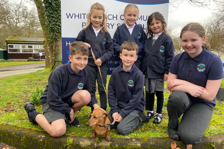 Rufus meets his new classmates at Whitchurch Primary and Nursery.