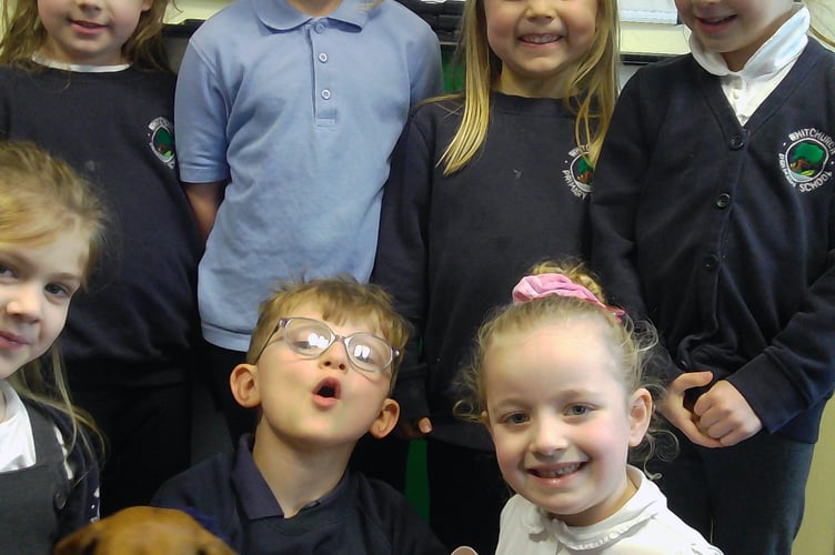 Rufus the wellbeing Dachshund makes a hit with his new classmates at Whitchurch Primary.