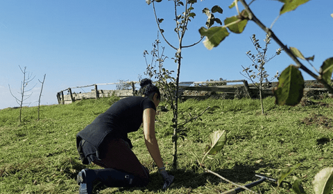 Successful garden maintenance franchise territory for sale 