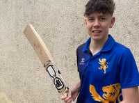 Young cricketer to hit international sixes 
