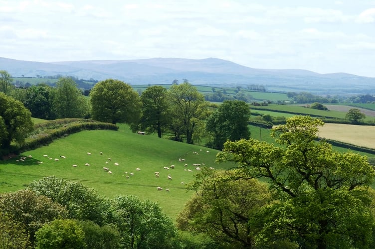 View towards north Dartmoor from Morchard Bishop in early summer.
