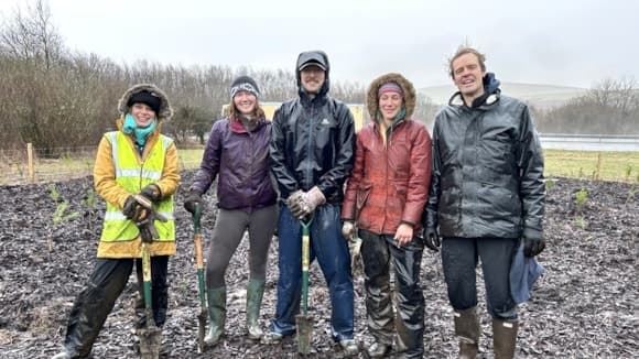 Sourton Cross gets its own tiny forest in National Highways first