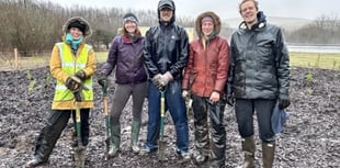 Sourton Cross gets its own tiny forest in National Highways first