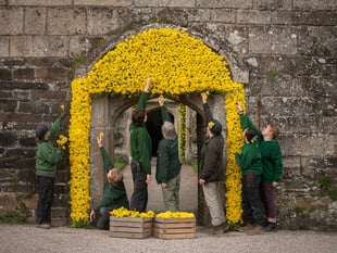 Historic house turns yellow for spring