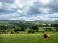 Rising costs hit Devon farms hard