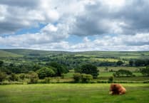 Devon's farms face 'perfect storm' of rising costs, says councillor