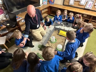 Lifton Community Academy welcomes newly hatched chicks