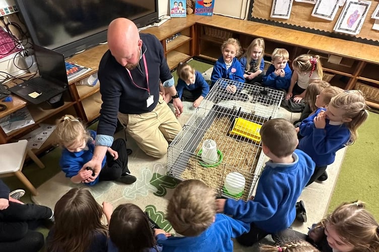 Lifton pupils get up close with the new chicks.