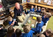 Lifton Community Academy welcomes newly hatched chicks