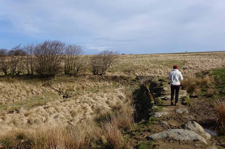 Walking across Exmoor on the Two Moors Way route.