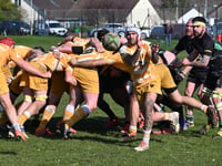 Tawts narrowly triumph on their travels