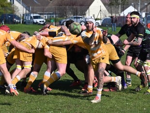 Tawts narrowly triumph on their travels
