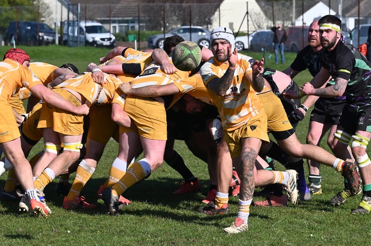 Counties 3 Tribute Ale Devon N&E rugby action from New Cross versus North Tawton. Final score 17-20