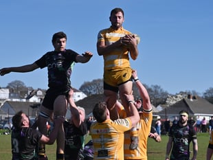 Tawts topple the rock-bottom side