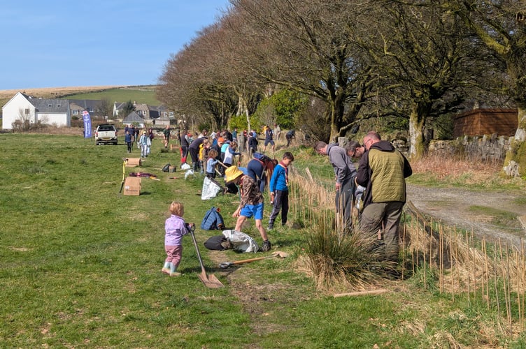 The planting aims to boost wildlife and strengthen the ecological value of the site over time.
