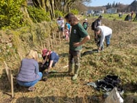 Tree planting at Princetown supported by Duchy