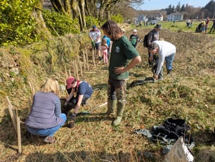 Tree planting at Princetown supported by Duchy