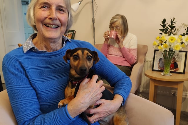 Volunteers making a difference at Drake Lodge