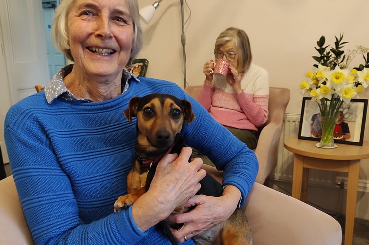 Margaret and Lottie the Jack Russell, volunteers at Drake Lodge, Tavistock