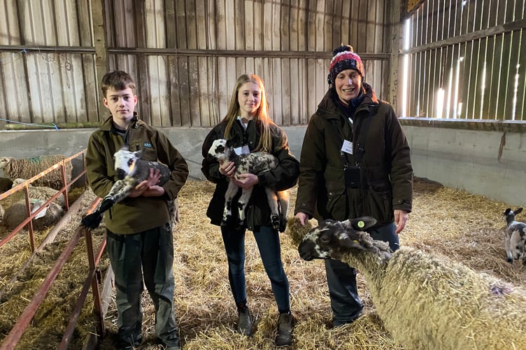 All the extended farming family join in manning Greenwell Farm Lambing Live at Meavy. Pictured are Billy Cole, 12, Bella Gibbin, 12, and Bev Brown.
