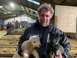 Farmers hit out at pony cull plan