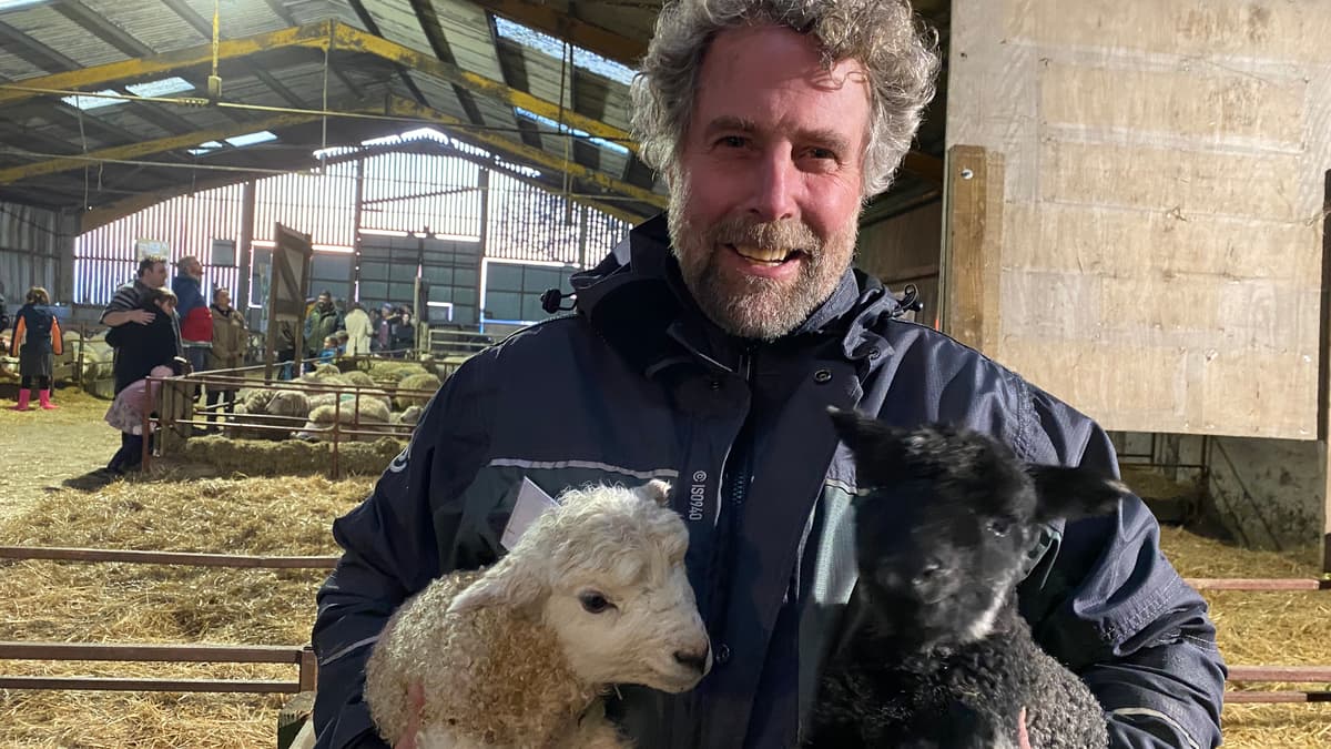 Landwirte in West Devon protestieren gegen das „Chaos“ bei der ...