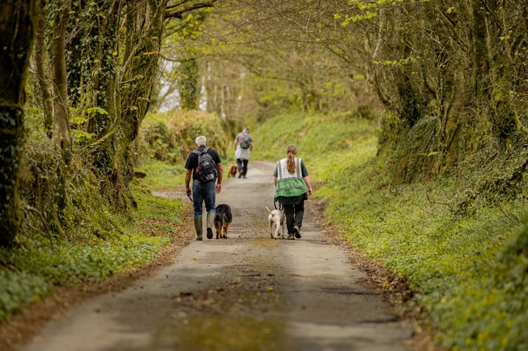 Margaret Green Animal Rescue