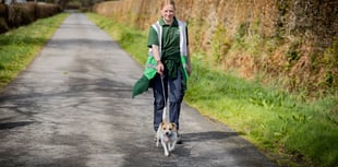 Sponsored Walkies Returns to Devon with a Wagging Welcome