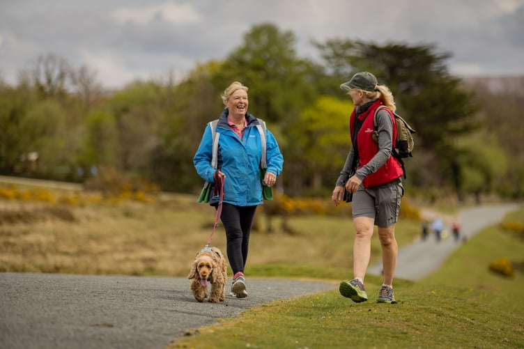 Margaret Green Animal Rescue