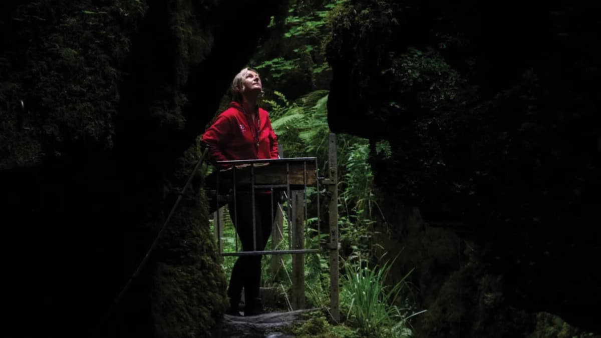 National Trust calling everyone to write to MP to safeguard nature