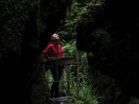 National Trust calling everyone to write to MP to safeguard nature