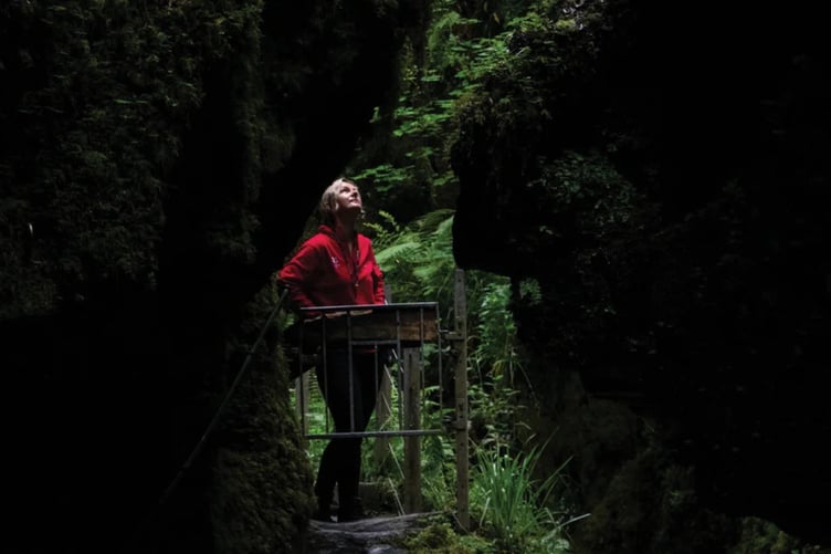 National Trust has launched a campaign to help British wildlife recover.