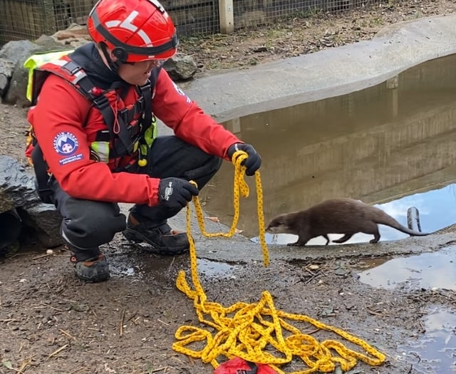 Dartmoor rescue team's lifesaving idea is otter this world