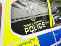 Man injured in fall from railway bridge