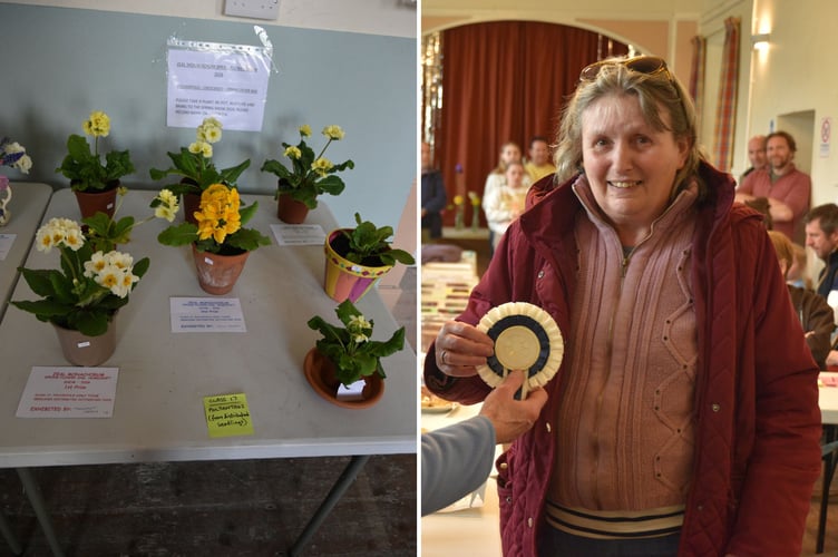 A table of polyanthus from distributed seedlings, and Isabel Harris, who won the Best in Section Rosette for her Chocolate Victoria Sandwich.