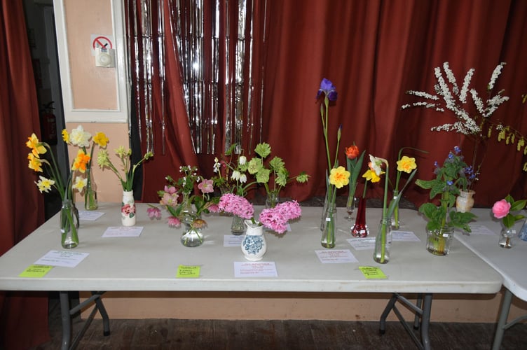 Floral exhibits at Zeal Spring Show. Photos: Helen Hall