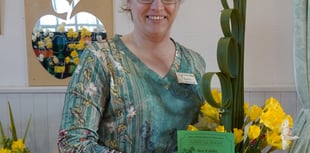 Bere Ferrers Spring Flower Show a blooming success