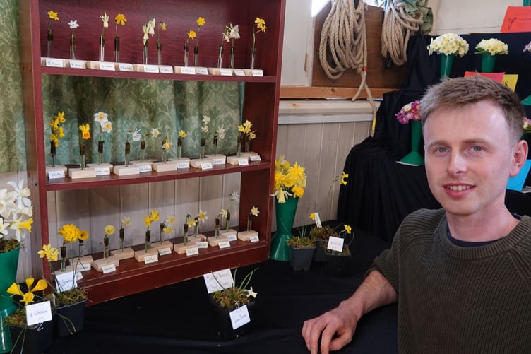 Bere Ferrers Flower Show exhibitor David Carver with his miniature narcissi. Picture by Ann Parsons.
