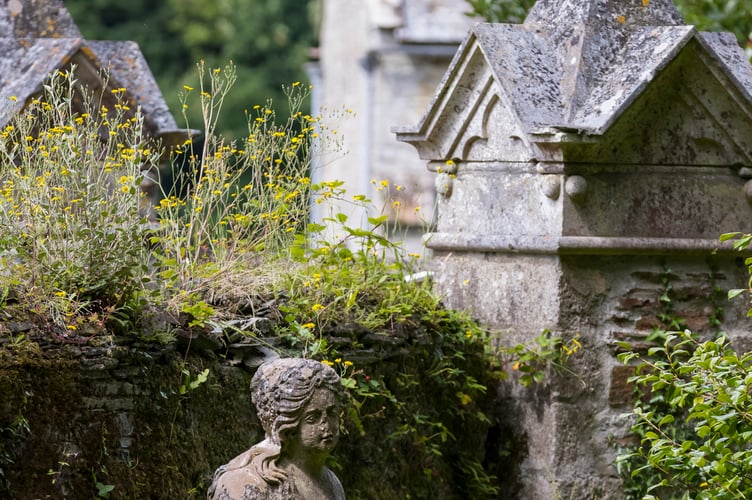 Garden detail at Buckland Abbey.