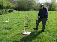 West Devon green spaces flourish with charity's tree donation