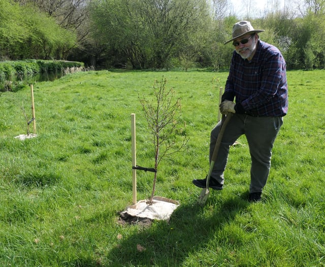 West Devon green spaces flourish with charity's tree donation
