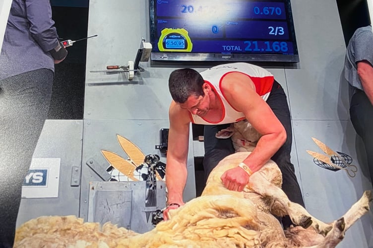 Master sheep shearing team father and son George and Andrew Mudge, of Tavistock, are officially at the cutting edge of their skills after competing at the world championships in New Zealand.  Andrew is pictured shearing under the eye of the judges.