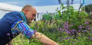 Devon County Show to launch first-ever community growing hub
