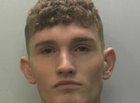 Man jailed for ferocious attacks on women and children 