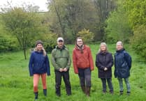 Buckland Monachorum community bird box scheme takes off