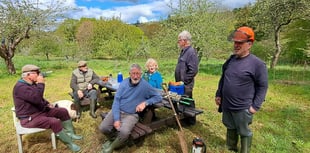 Bere Ferrers orchard hosting open afternoon